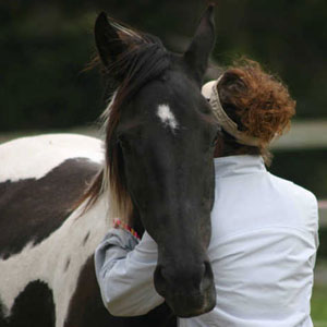Horses reflecting self-love